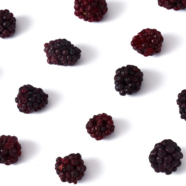 freeze-dried-blackberry-set-ar